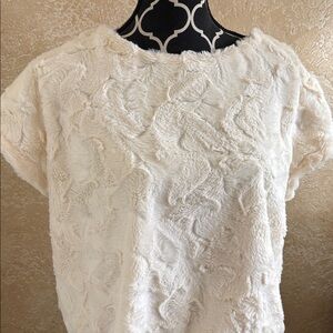 Daisy Fuentes Cream Textured Short Sleeve Top